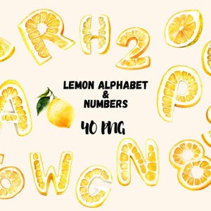 Lemon Alphabet PNG Bundle, Custom Birthday Cards and Baby Shower Decor, Summer Clipart with Fruit Letters and Applique Numbers