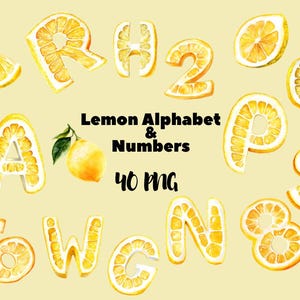 Puede incluir: Ilustración en acuarela de un alfabeto y números de limón. Las letras y los números están creados a partir de rodajas de limón, con un limón entero y hojas. El texto dice "Lemon Alphabet & Numbers 40 PNG".