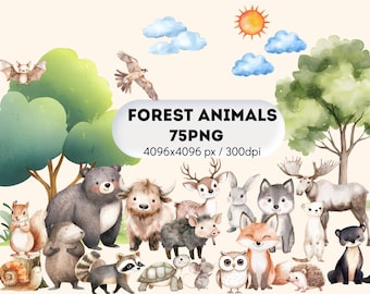 Woodland Watercolor Animals Clipart, Cute Forest Animals PNG, Boho Woodland Clipart, Spring Forest Animals PNG, Nursery Clipart