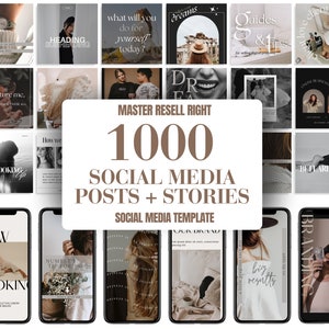 MRR Instagram Stories Template Canva, Master Resell Rights and PLR Stories, Done for You, Sell On Etsy, PLR Social Media Graphics, Template