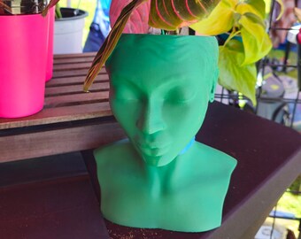 Houseplants and 3d Printed Pots