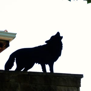 Howling Wolf Sculptures