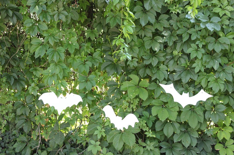 Op de afbeelding: Drie witte papieren vleermuizen hangen aan een groene, bladerrijke wijnstok. De vleermuizen zijn uit papier geknipt en hangen voor de bladeren.