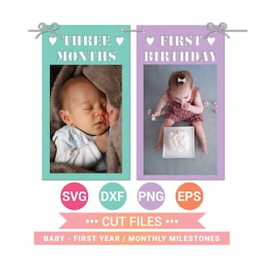 Erster Geburtstag 12 Monate Banner SVG-Schnittdateien, Monatliche Meilenstein Banner Girlande, Cricut, Silhouette, Sofortiger Download, Png, Eps, Dxf Cf-299