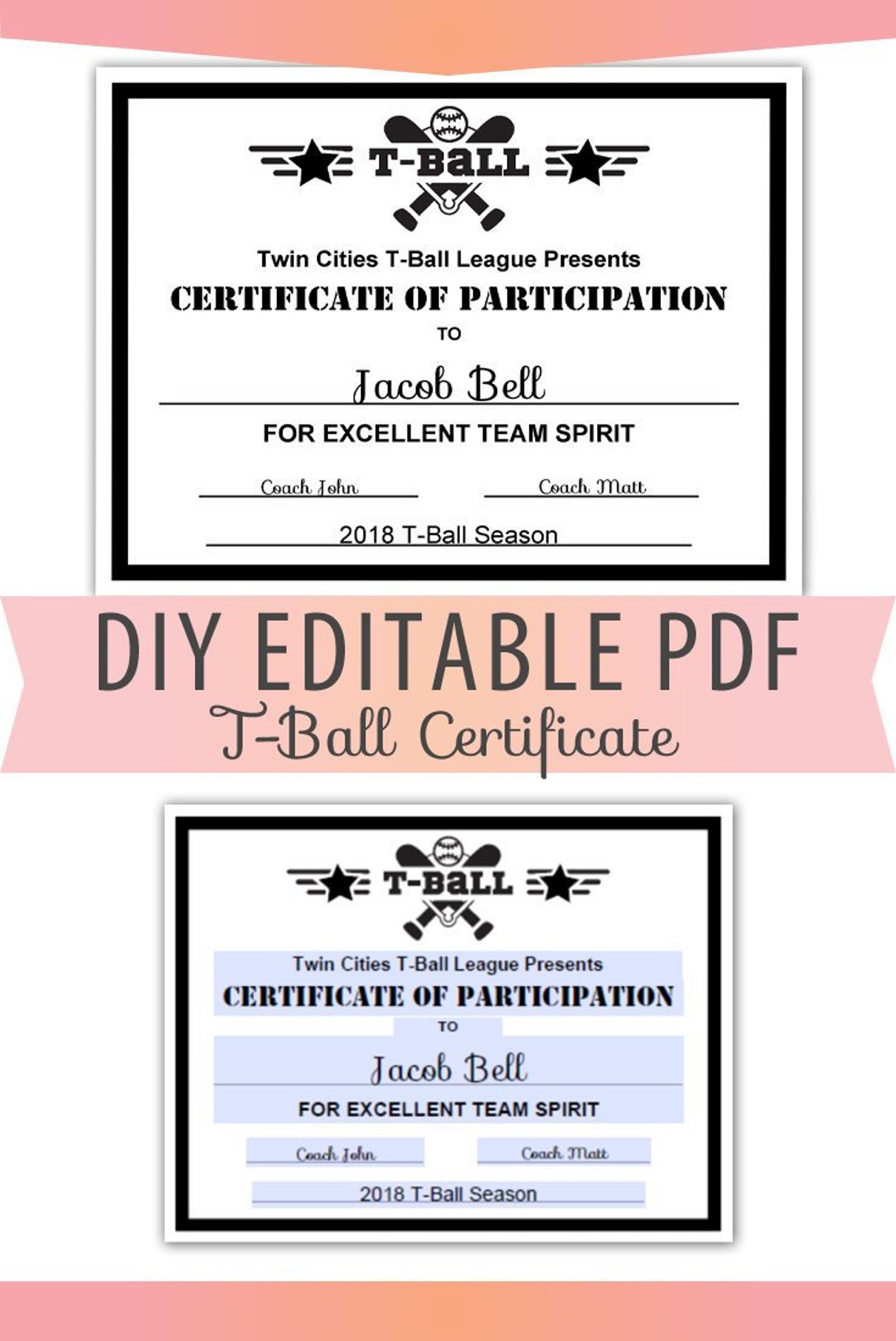 Editable PDF Sports Team T-ball Certificate Diy Award Template | Etsy