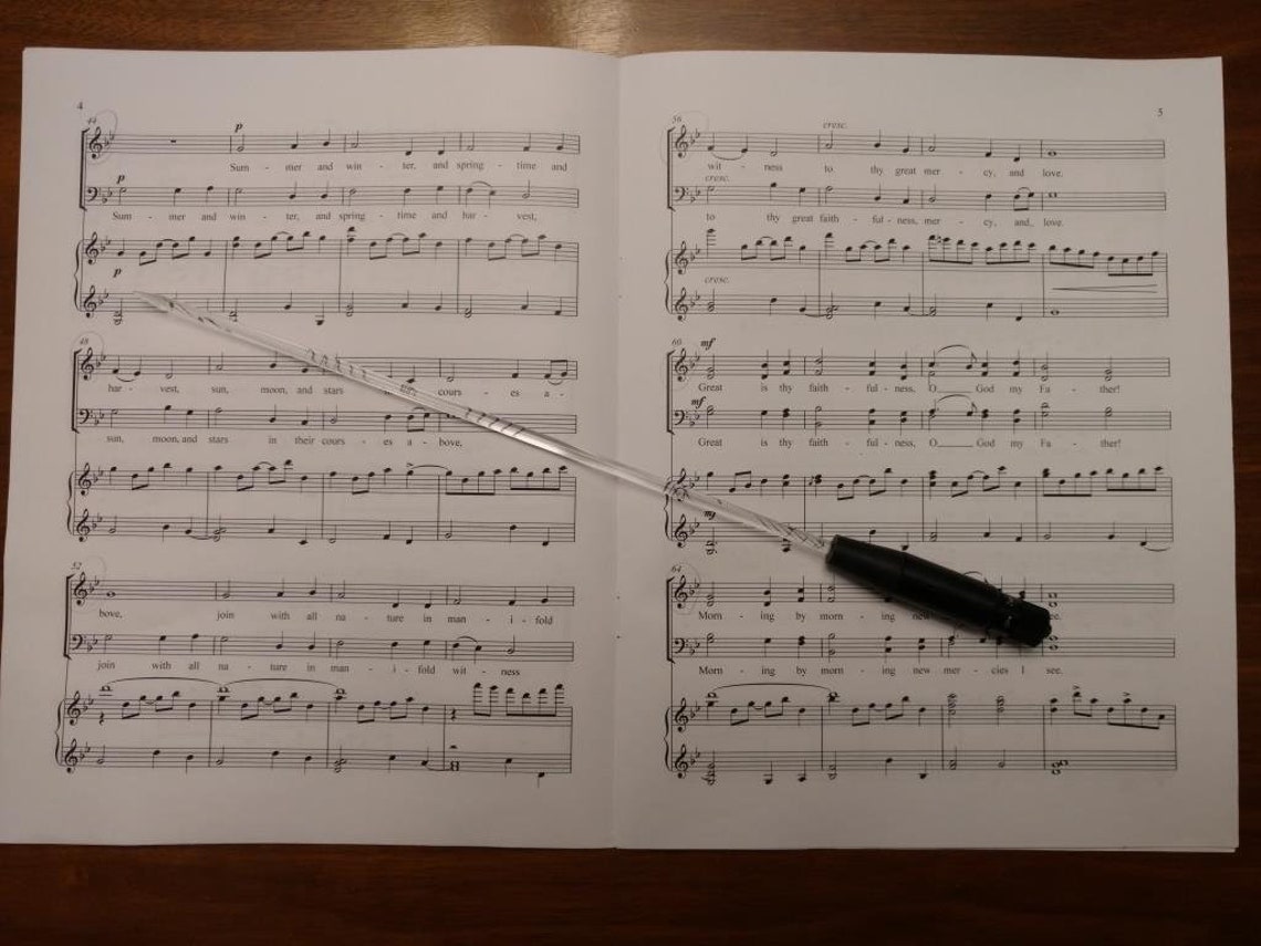 Needlelite ULTRA Lighted Conductor Batonultra Bright Etsy