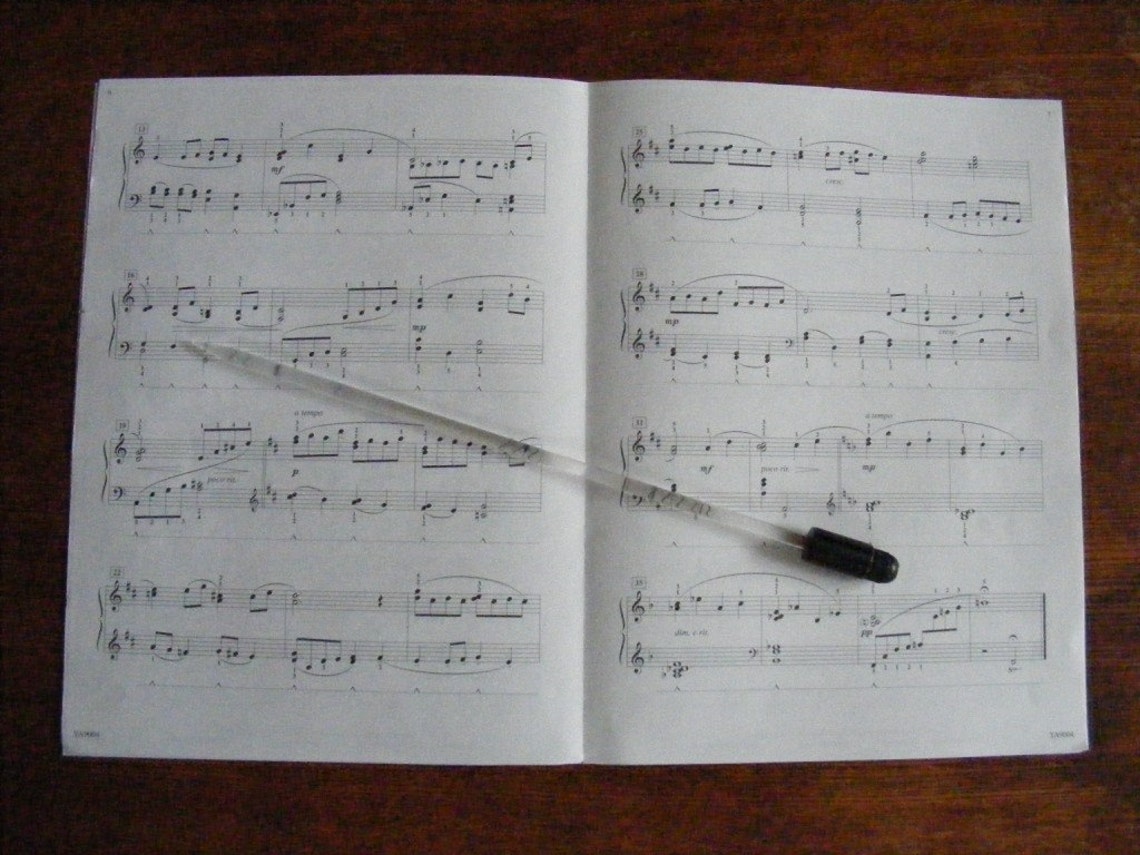 Needlelite STANDARD Lighted Conductor Baton Etsy