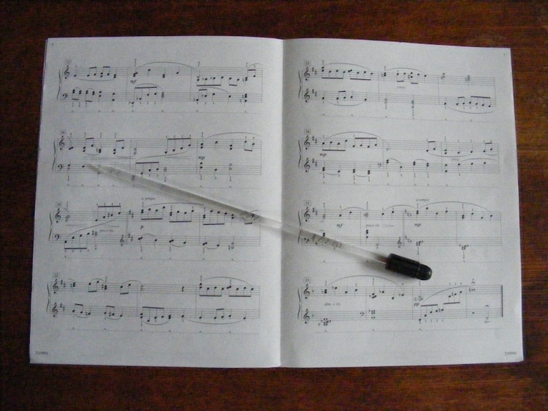 Needlelite STANDARD Lighted Conductor Baton Etsy Canada