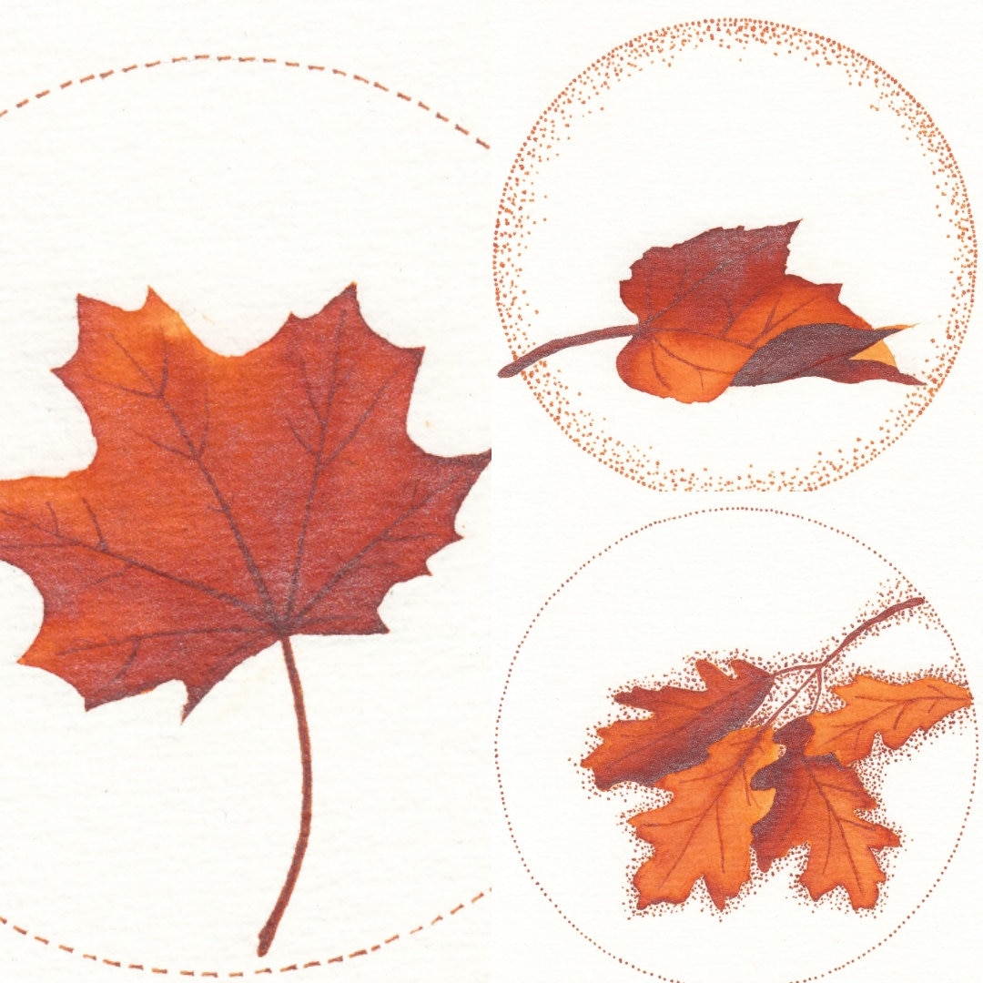 Autumn Leaves Set A - Set of 3 Instant Downloads/printable Art - Etsy