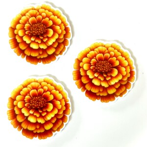 May include: Three orange and yellow marigold flower stickers. The flowers have a white outline.