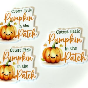 May include: Three white and orange pumpkin-shaped resin cabochons with the text "Cutest little Pumpkin in the Patch" on each.