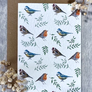 Carte de voeux British Birds - carte d'anniversaire oiseau aquarelle colorée, carte de remerciement mésange bleue merle et chardonneret, carte oiseaux de jardin