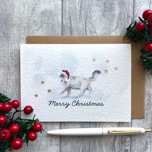 Niedliche Ragdoll Katze Weihnachtssmannmütze Weihnachtskarte, frohe Weihnachten personalisierte Ragdoll Katzenkarte, entzückende leere festliche Katzenliebhaberkarte, Weihnachtskarte