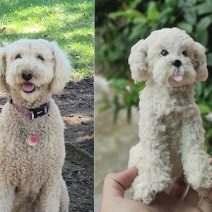 May include: A white fluffy dog with a pink tongue sticking out. The dog is sitting on a green grassy surface. The dog is wearing a pink collar with a heart-shaped tag.