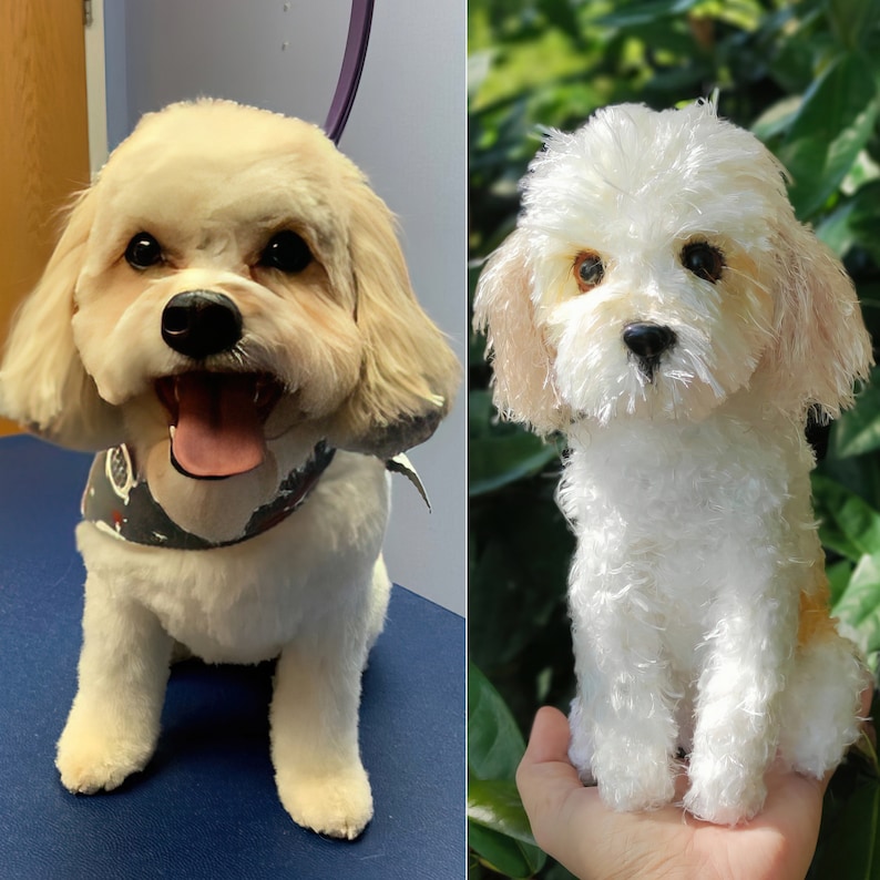 Puede incluir: Fotos de antes y despu&eacute;s de un perro peque&ntilde;o blanco con ojos marrones. El perro est&aacute; sentado y ha sido arreglado. El perro lleva una bandana negra y blanca.