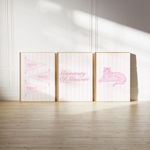 University of Missouri - Mizzou Pink Wall Art | Set of 3 College Wall Art