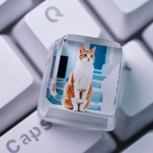 Puede incluir: Un tapón de tecla de plástico transparente con una foto de un gato blanco y naranja sentado en una superficie de azulejos azules y blancos.