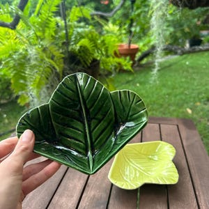 Puede incluir: Dos platos de cerámica con forma de hoja. Uno es de color verde oscuro y el otro de color verde amarillento claro. Los platos están sobre una mesa de madera, con un exuberante fondo verde de helechos y otro follaje.