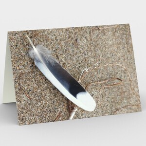 Notecards - Natuurlijke Schatten - Feathers 1