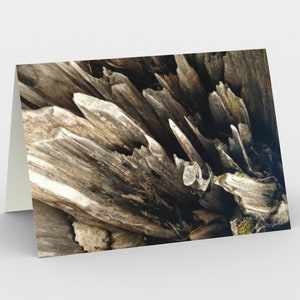 Notecards - Natural Treasures - Woodlands 4