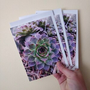 Notecards - Trésors naturels - Botanica 1 - Poules et poussins