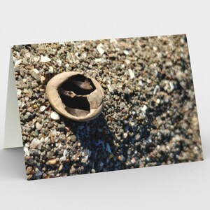 Notecards - Natural Treasures -  Heart 1