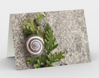 Notecards  -  Natural Treasures - At The Beach 9 - Snail Shell