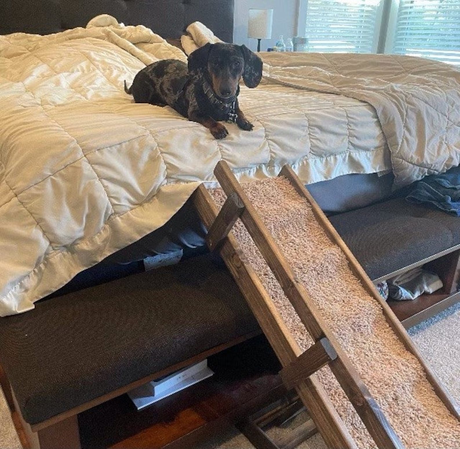 48x16 Gentle Incline Extra Wide Pet Ramp Large Dog Small Etsy