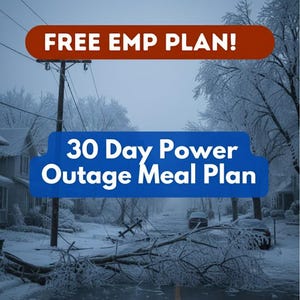 30-Day Power Outage Meal Plan: Emergency Food Prep, Disaster Preparedness and Survival, SHTF Doomsday planner (Digital Download)
