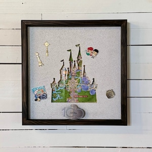 Pin Board with Theme Park Icon and Map