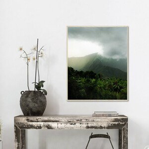 May include: A rustic wooden console table with a distressed white finish. The table has a drawer and is decorated with a white orchid plant in a dark gray pot, a wooden box, and a wooden basket filled with books. A framed photograph of a lush green mountain landscape with a cloudy sky hangs on the wall above the table.
