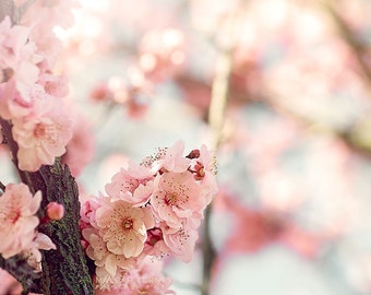 Tree Flowers, Pink Flowering Tree Photography, Cherry Blossoms, Pink Flower Photo,  Pink Nursery Art, Spring Decor, Spring Flower, Wall Art