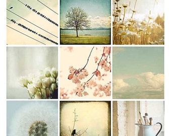 May include: A collage of nine vintage-style photographs featuring nature scenes. The images include a tree by a lake, a field of daisies, a bouquet of white flowers, a branch of pink blossoms, a cloudy sky, a dandelion, a bird on a branch, and a pitcher on a windowsill.