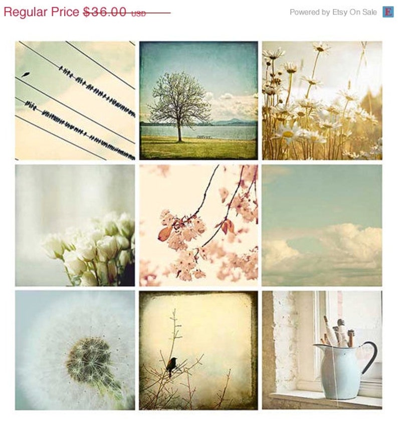 Nature Photograph Set flowers, blackbirds, dandelions, trees, pastel, neutral, country decor, photo set image 1