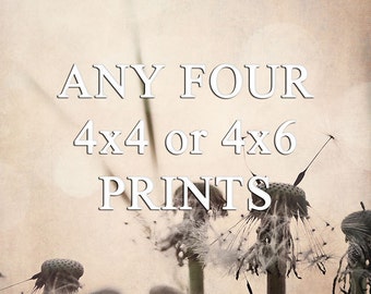 Any Four 4x4 or 4x6 Prints - Your Choice - Baby Nursery - Custom Photo Set - gifts under 25
