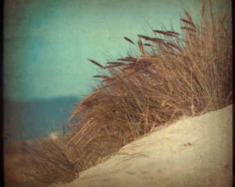 Sand Dune Photograph, Beach Grass, Coastal Decor, Blue, Beige, Brown, nautical wall art