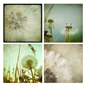Dandelion Photography Set - aqua, blue, nursery wall art, dreamy, nature photography, photo set