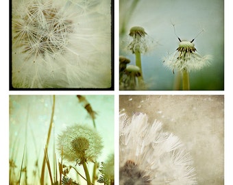 May include: A collage of four images featuring dandelion seeds in various stages of dispersal. The images are in a vintage style with a soft, faded color palette.