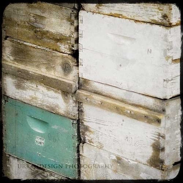 Vintage Beehive Boxes Photography - bee keeper boxes - honey bee boxes, aqua white brown beekeepers, honey bees