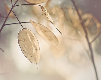 Nature Photography, leaves, winter, neutral, woodland decor, snow print, rustic, forest photo, wall art