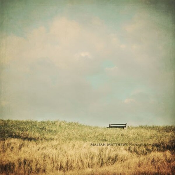 Beach Photography sand dunes, Oregon, beach grass, pastel, blue, green, simple, minimal, coastal decor