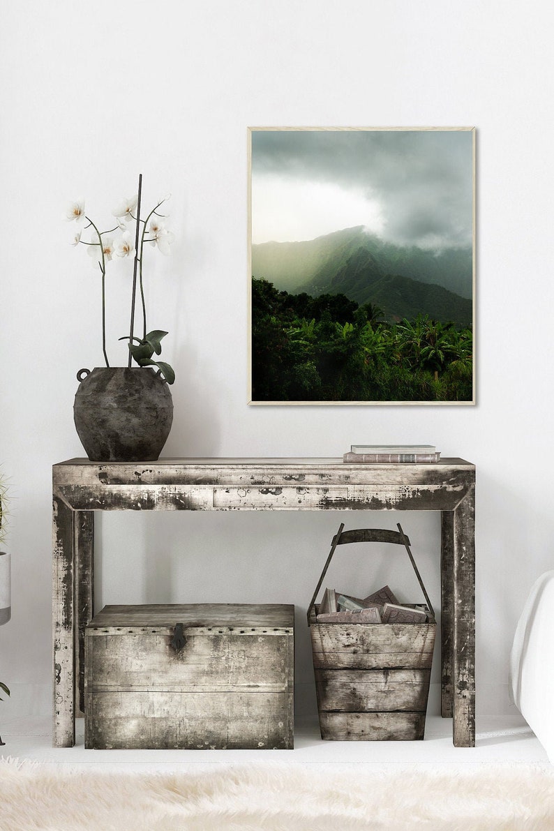 May include: A rustic wooden console table with a distressed white finish. The table has a drawer and is decorated with a white orchid plant in a dark gray pot, a wooden box, and a wooden basket filled with books. A framed photograph of a lush green mountain landscape with a cloudy sky hangs on the wall above the table.