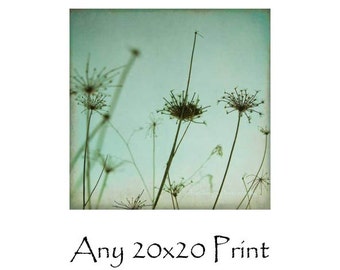 Any Print As A 20x20