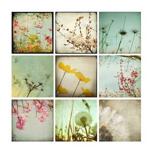 Pink Flower Photography Set, dandelion wall art, photo set, nursery decor, pastel colors, nature photographs, floral pictures, 4x4 prints