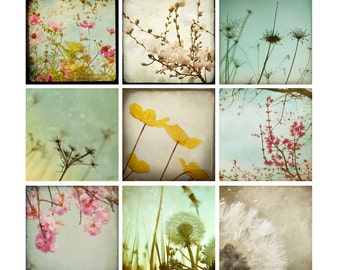 Juego de fotografía de flores rosas, arte de pared de diente de león, conjunto de fotos, decoración de vivero, colores pastel, fotografías de naturaleza, imágenes florales, impresiones 4x4