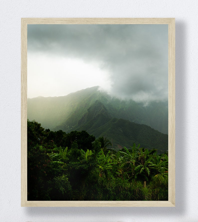 May include: A photograph of a lush green mountain range with a thick layer of clouds covering the peaks. The mountainside is covered in dense foliage and trees.