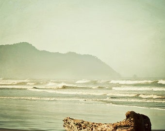 Driftwood Ocean Beach Photograph - blue white brown Oregon wall art, home decor, nautical baby nursery - 8x8