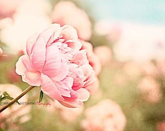 Pink Peony Wall Art, Flower Photography, Pink Peonies, Girl Nursery Wall Art, Peony Home Decor, Peonies, Pink & Blue