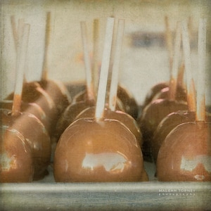 Carnival Print - caramel apples, neutral, colors, brown, autumn, fall decor, food photography