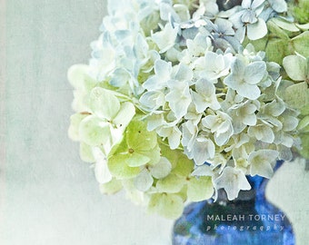 Hydrangea Flower Photography, floral bouquet, cobalt blue vase, pastel green, yellow, shabby chic print